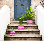 BRITISH COLOUR STANDARD Eco Woven Plant Pot Cover Set of 3 - Neyron, Pompadour & Pearl