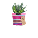 BRITISH COLOUR STANDARD Eco Woven Plant Pot Cover Set of 3 - Neyron, Pompadour & Pearl