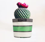 BRITISH COLOUR STANDARD Eco Woven Plant Pot Cover Set of 3 - Grass Green, Indigo  & Pearl