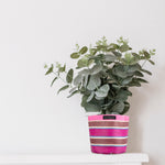 BRITISH COLOUR STANDARD Eco Woven Plant Pot Cover Set of 3 - Neyron, Pompadour & Pearl
