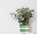 BRITISH COLOUR STANDARD Eco Woven Plant Pot Cover Set of 3 - Grass Green, Indigo  & Pearl