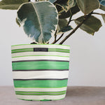 BRITISH COLOUR STANDARD Eco Woven Plant Pot Cover Set of 3 - Grass Green, Indigo  & Pearl
