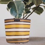 BRITISH COLOUR STANDARD Eco Woven Plant Pot Cover Set of 3 - Tuscan Yellow & Pearl