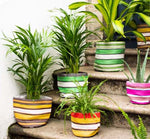 BRITISH COLOUR STANDARD Eco Woven Plant Pot Cover Set of 3 - Grass Green, Indigo  & Pearl