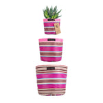 BRITISH COLOUR STANDARD Eco Woven Plant Pot Cover Set of 3 - Neyron, Pompadour & Pearl