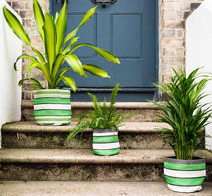 BRITISH COLOUR STANDARD - Medium 22 cm x 22 cm / 8.6'' x 8.6'' - Eco Woven Plant Pot Cover / Storage Basket in Grass Green, Indigo & Pearl