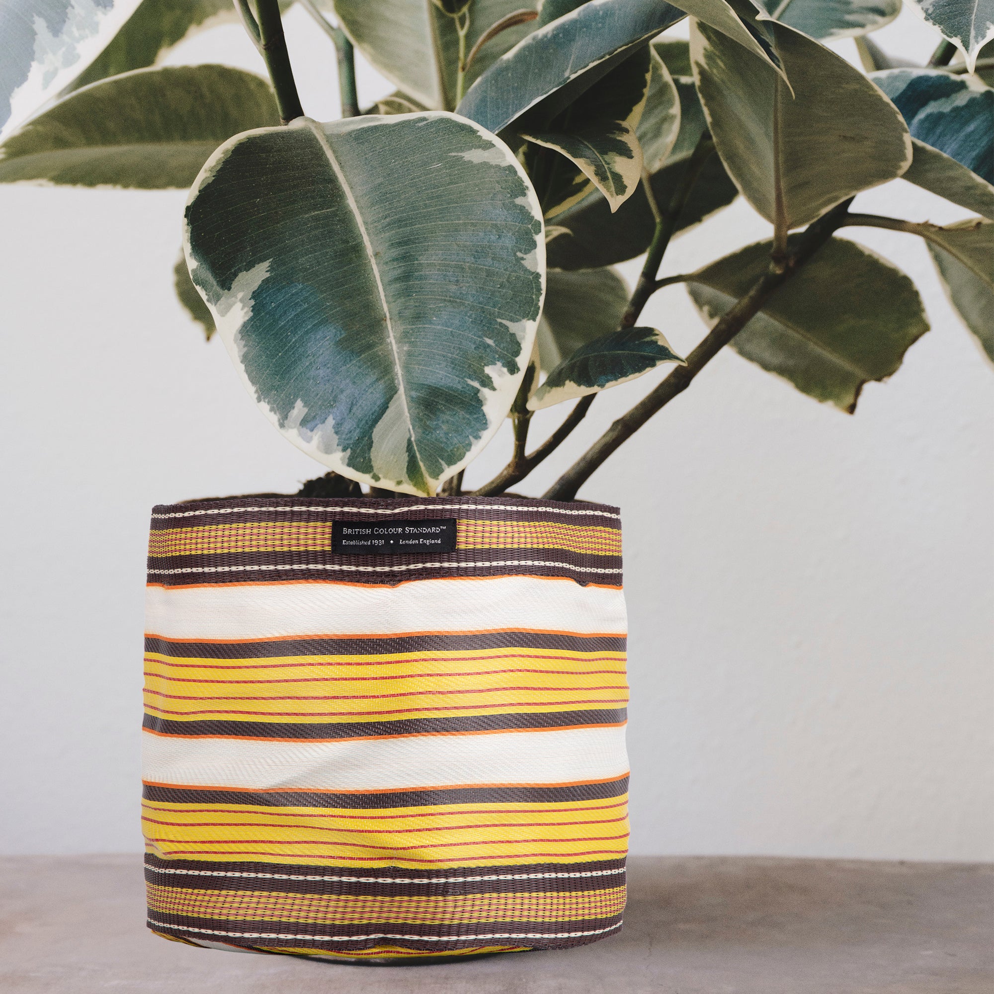 large plant pot covers BRITISH COLOUR STANDARD - Large 28 cm x 28 cm / 11'' x 11''